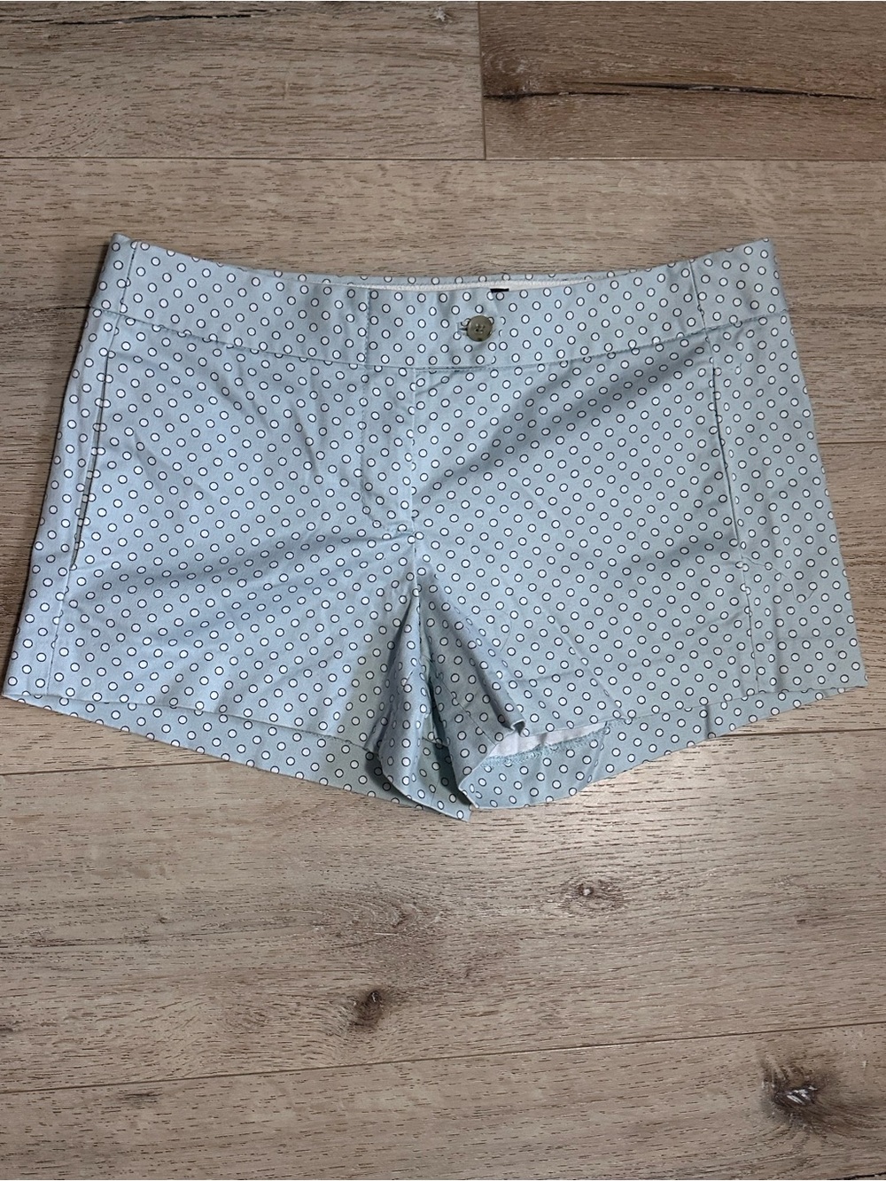 J Crew Women’s Blue Printed Chino Shorts